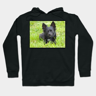 Intelligent Gaze Hoodie